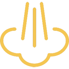 dacalcifiere espressoare cafea